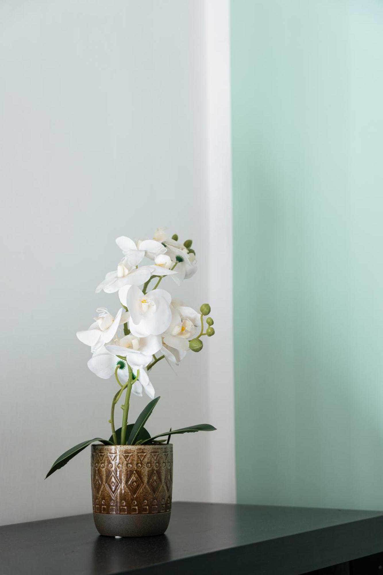 Urban Nest Apartman Róma Kültér fotó